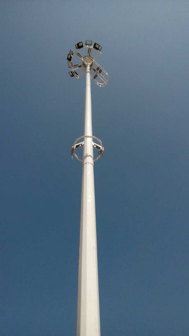 ���������A�p�����ߗU��